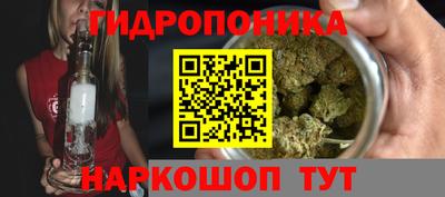 гашиш Кингисепп