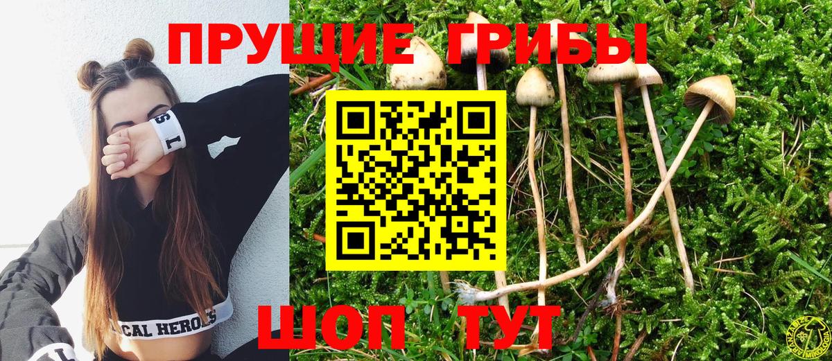 Псилоцибиновые грибы Magic Shrooms Чусовой