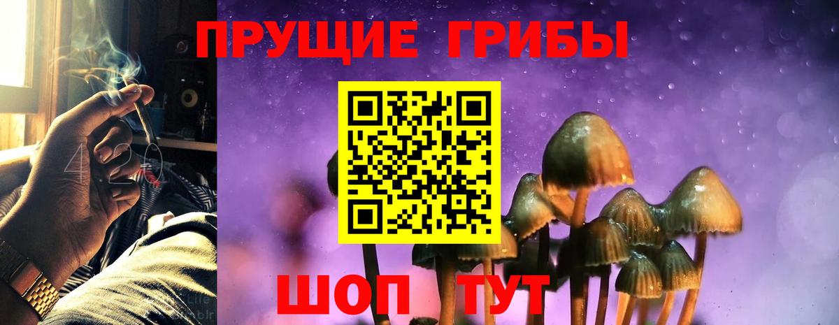 Псилоцибиновые грибы MAGIC MUSHROOMS  Вход с VPN  Чусовой 